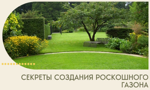 Секреты создания роскошного газона в Стерлитамаке