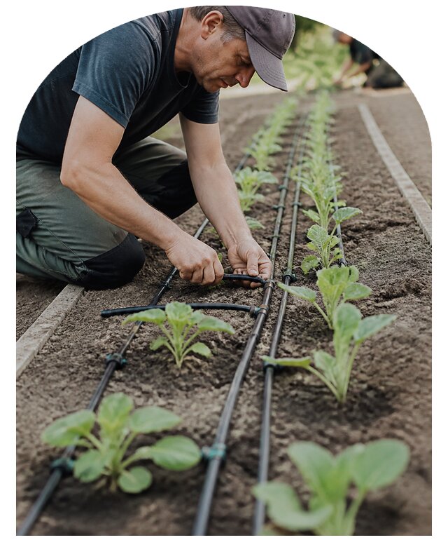 Установка капельного полива грядок на участке в Стерлитамаке