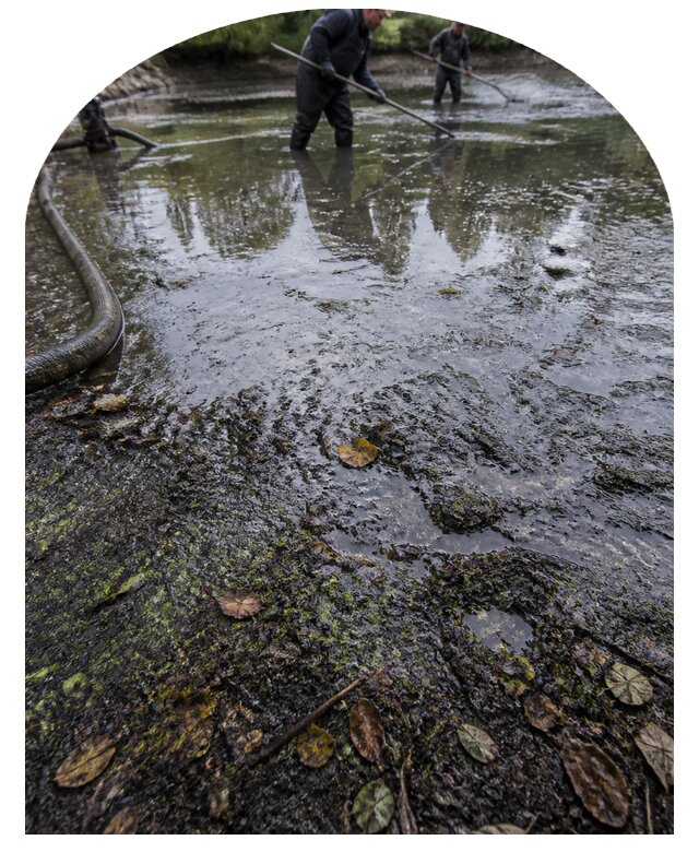 Очистка пруда в Стерлитамаке от ила мусора и водорослей с вывозом